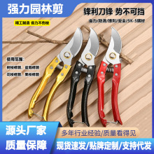 厂家批发不锈钢修枝剪省力手动嫁接剪刀果树粗枝便携多功能果枝剪