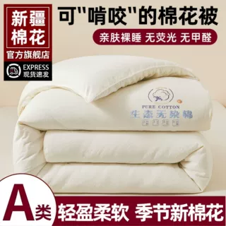 母婴级A类新疆纯棉被子冬季厚款春夏棉花被芯保暖冬被宿舍春秋被