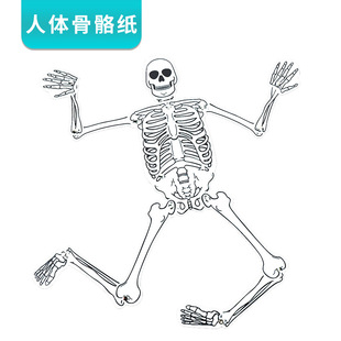 Homemade human skeleton model paper DIY handmade technology small production body bone cognition kindergarten interest class