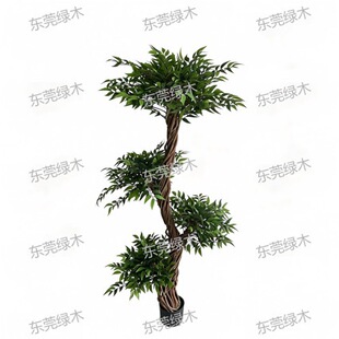 Artificial Ligustrum Tree �����~�����