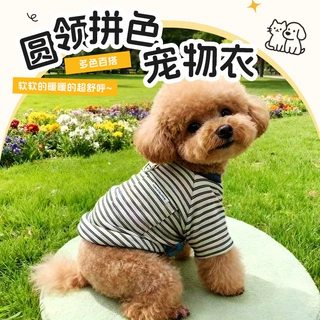 春秋季时尚帅气户外可牵引宠物衣服圆领拼色条纹猫咪狗狗通用服饰