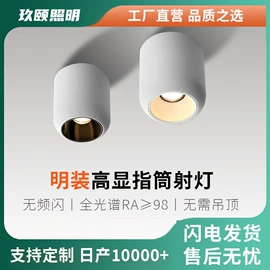 磁吸轨道灯;射灯;LED豆胆灯