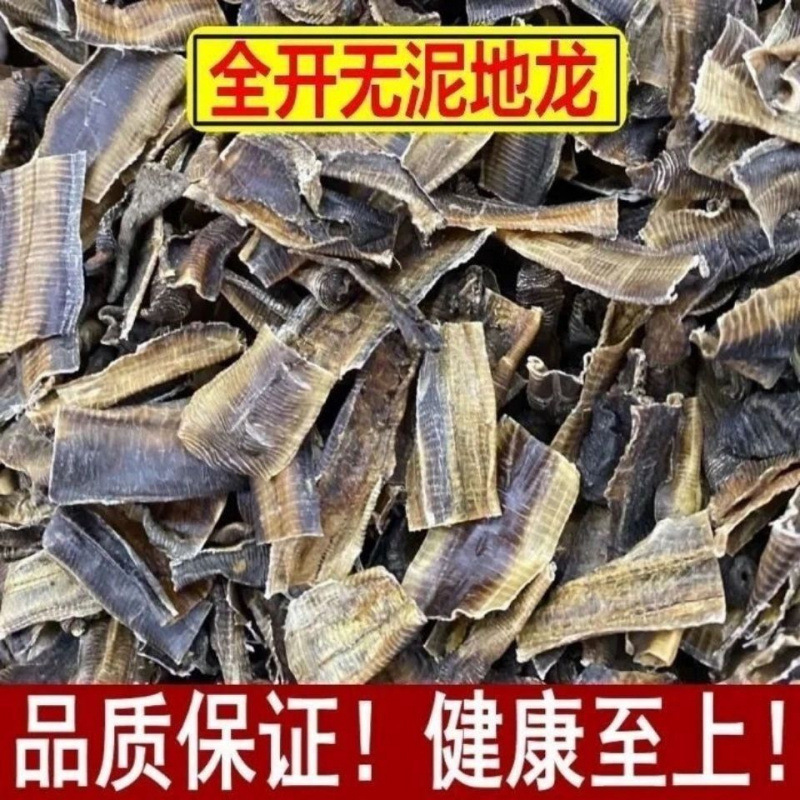 精选地龙中药正宗全开广西地龙干无土地龙无任何泥沙地龙粉蚯蚓干
