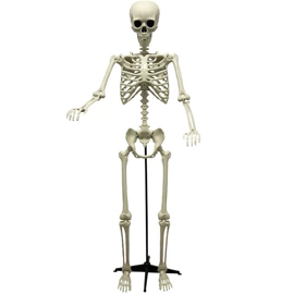 场地布置道具;万圣节摆件;化妆服饰道具