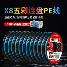 100��12�B�Ppe��8�����·������������������ҧ�����R��~�����l