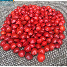 ��Ȼ�t������ԭ����˼�����t���ִ����ɢ��Փ��t������һ�w���