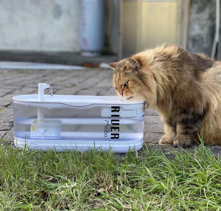 Miiibo xiaohe Water Dispenser