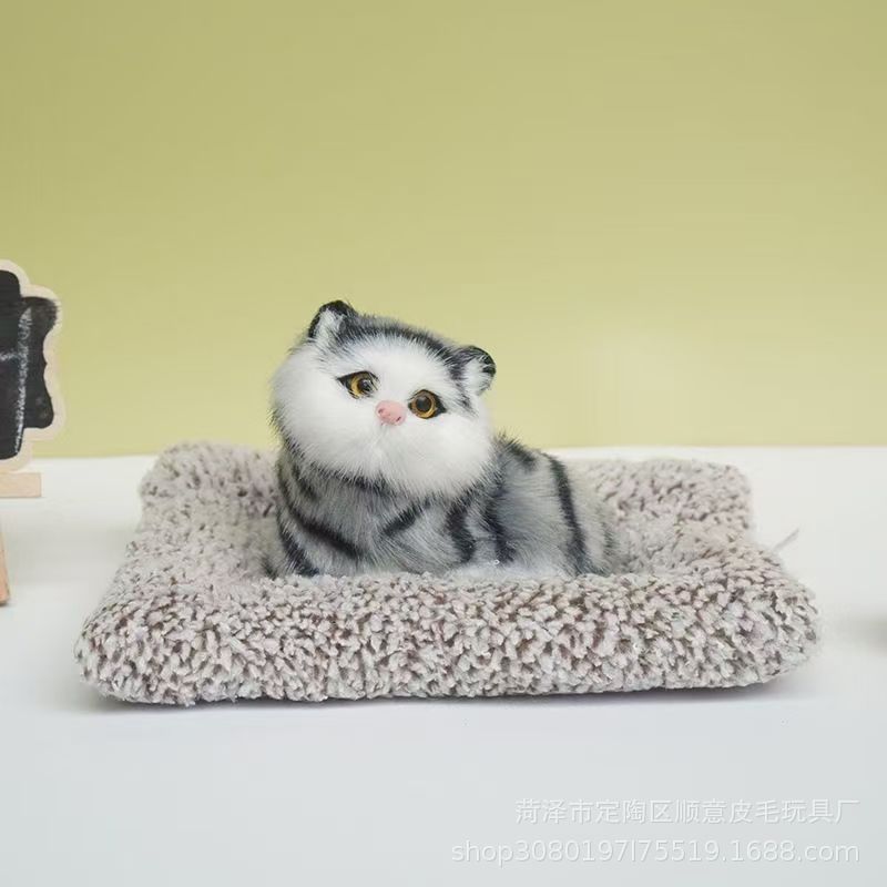 15*18 com.6 전화 할 것이다