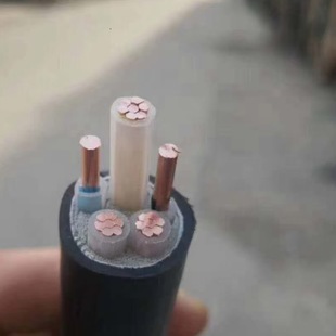 �~����|�S��ZR-YJV22 3*10+2*6�z�b��|5о10ƽ�������~о��|��