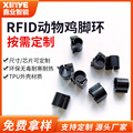 rfid动物标签EM4305低频鸡鸭鹅鸽子脚环标签家禽养殖RFID电子标签