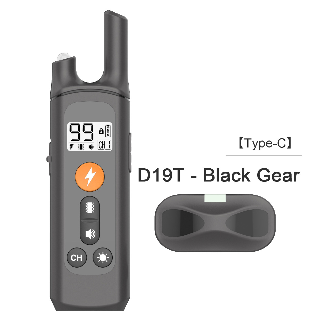 D19T2