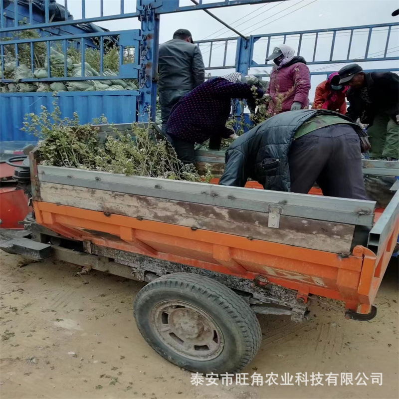 3e72391751fd8b8f8f4647b7e84a44