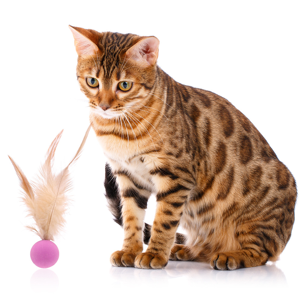Nuevos juguetes para gatos para aliviar el aburrimiento de la bola de gato, plumas, pelotas de rebote, juguetes para gatos divertidos, pelotas de salto, suministros para gatos