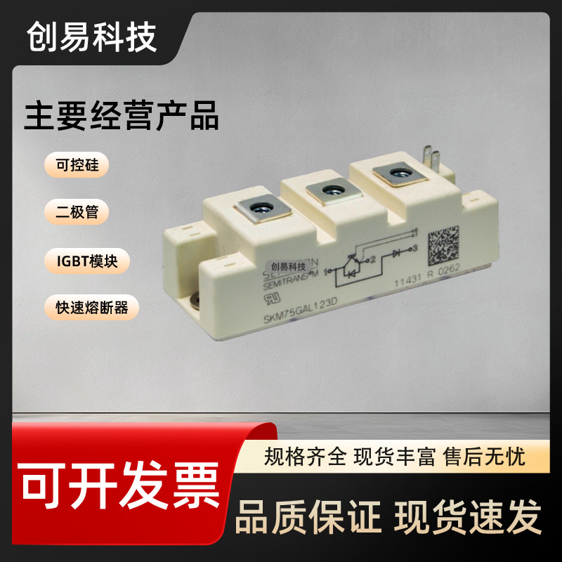 SKM75GAL12T4 SKM75GAL123D SKM75GAL124D SKM75GAL128D/75GAL12V