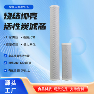 Water purifier 10 inch sintered activated carbon filter carbon rod compressed activated carbon coal mesh activated carbon CTO