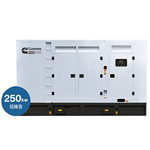 静音型发电机250KW高性能康明斯柴油发电机组380V发电机