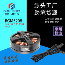 BGM5208-200HS̨R_gimbal motorC늙CSFLASH HOBBY