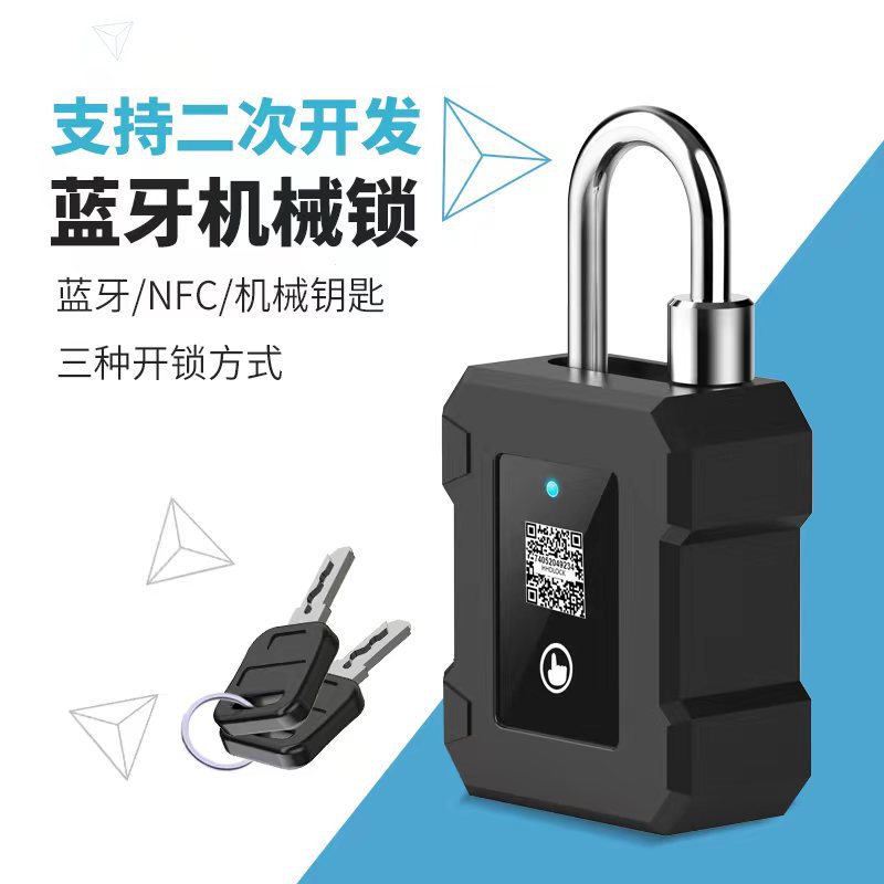 Intelligent inspection lock for outdoor equipment