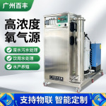臭氧发生器纯水杀菌消毒机水产养殖桶装水处理装置高浓度氧气源