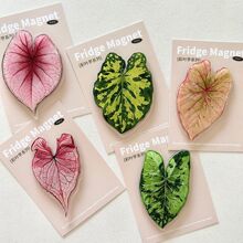 ֲ��ħ�����Ꭷֲ�� ����Gֲ�����N�Gֲ�b�ֲ��ϵ�б����N