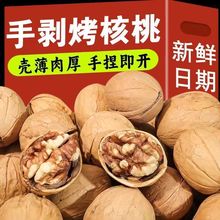 ���l�½� �ք�������� ���l ���b ����ݱ����㱡Ƥ�_�ڿ�����