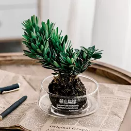 装饰花瓶;玻璃工艺品;玻璃杯