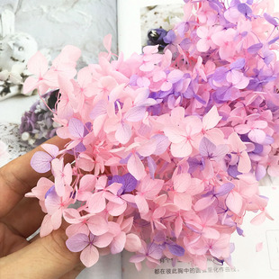 ����ƙ�A������С�~����������diy�����ܲ��ϰ��滨�ɻ����Y