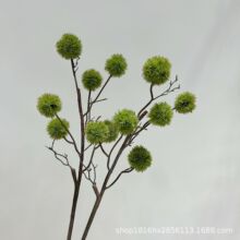 ���������������b�ëë��[���Gë���ѹ�Ӣ����ֲ��