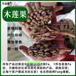 ľɏ�� ��ș�� 500�� ľ�ȹ� ľ�z�^ ���۹� ���z�^ ��ĸ��