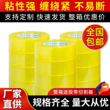 ����͸���z�����l�����z���S��ֱ�N���4.5cm���z����̿��f���