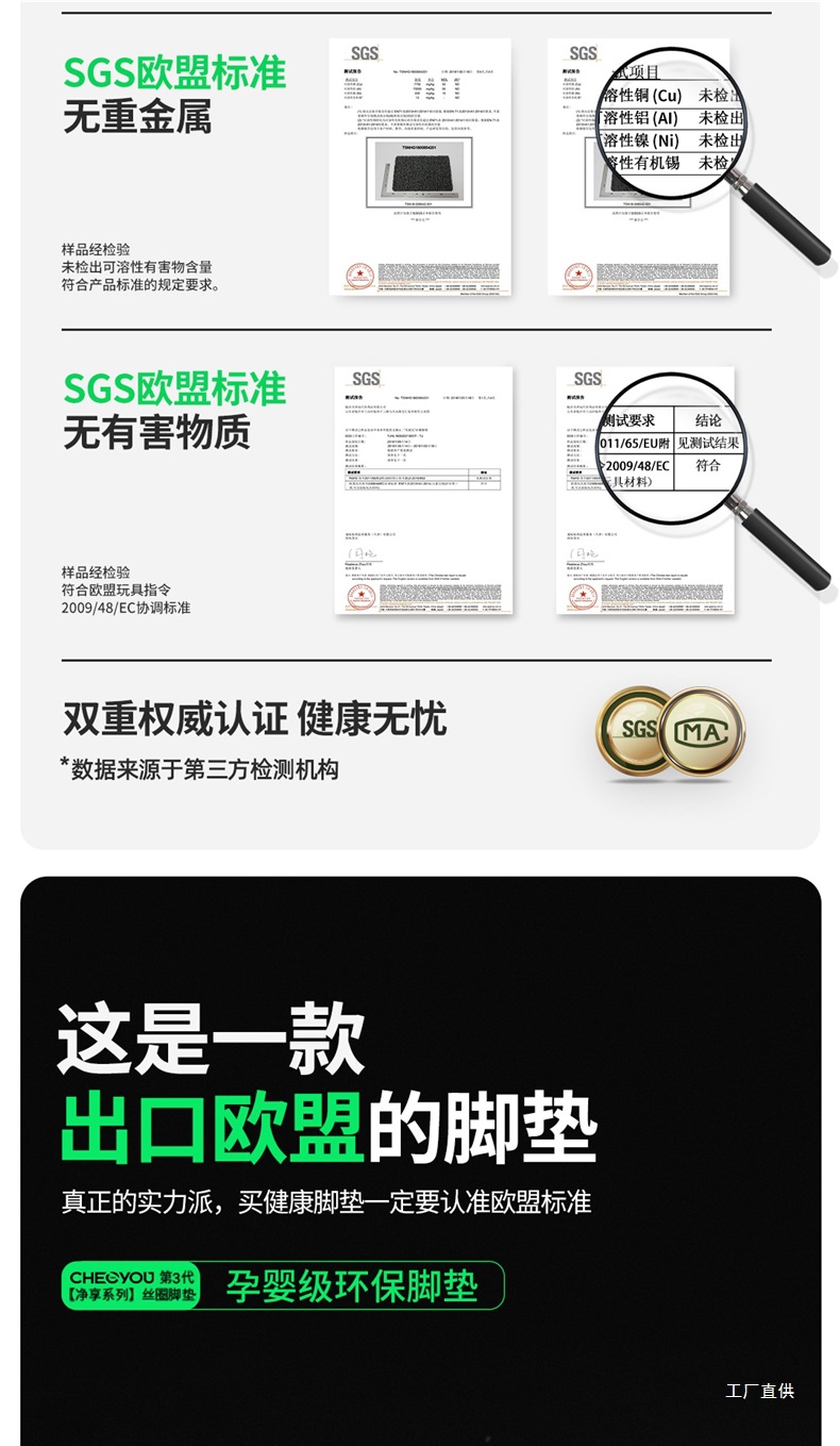 Car Floor Mat for the Driver's Seat, Single Piece Mat for the Driver's Seat, Single Wire Loop for the Passenger's Seat, Special Mat for the Passenger's Seat by Zhepei Hui