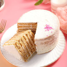 提拉米蘇風味蛋糕千層蛋糕網紅奶油早餐面包糕點零食品批發獨立站
