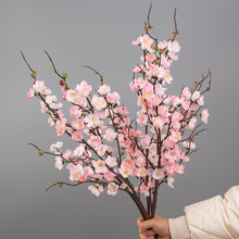 ���滨 ÷������ʽ�ҾӔ[��ͥԺ�@���쾰�ٻ�4���֦�D÷�S�����l