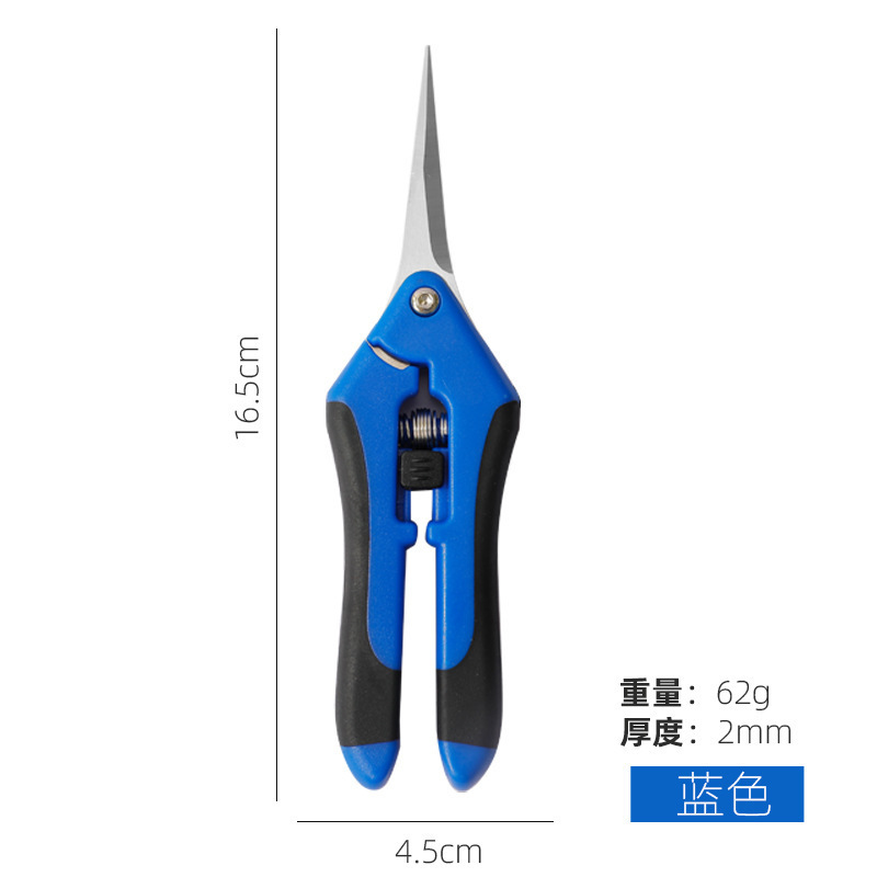청포도와 흑포도 가위 2.0