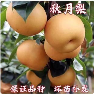 ��������������޽ӱ���ѩ���O����Xɽ���Sˮ�殔��Y�������