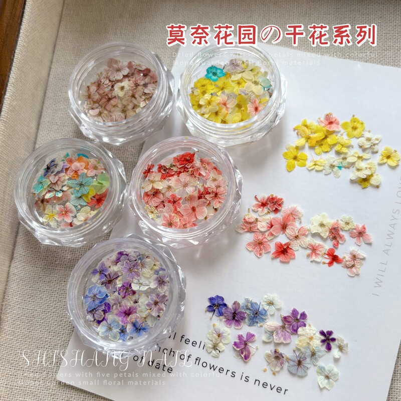 Mixed Dried Flower Materials for Nail Art, Monet Garden Exquisite Five-Petal Flower Materials, Flower Decorations, Small Floral Nail Accessories