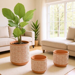 ���₀���¿���c�մɻ���t�����s����Gֲ���Լt�ո�y��������