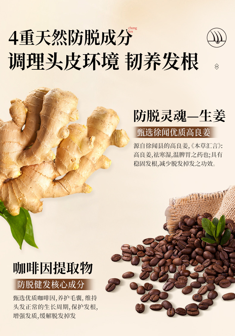 采菲尔生姜洗发水详情_06