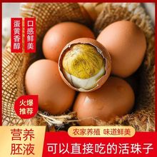 五香味土鸡活珠子鸡蛋13天新鲜鸡胚蛋熟食凤凰钢化无毛蛋