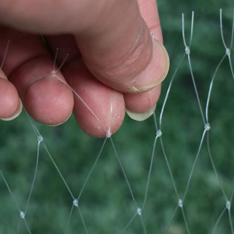 微信图片_20241113151433