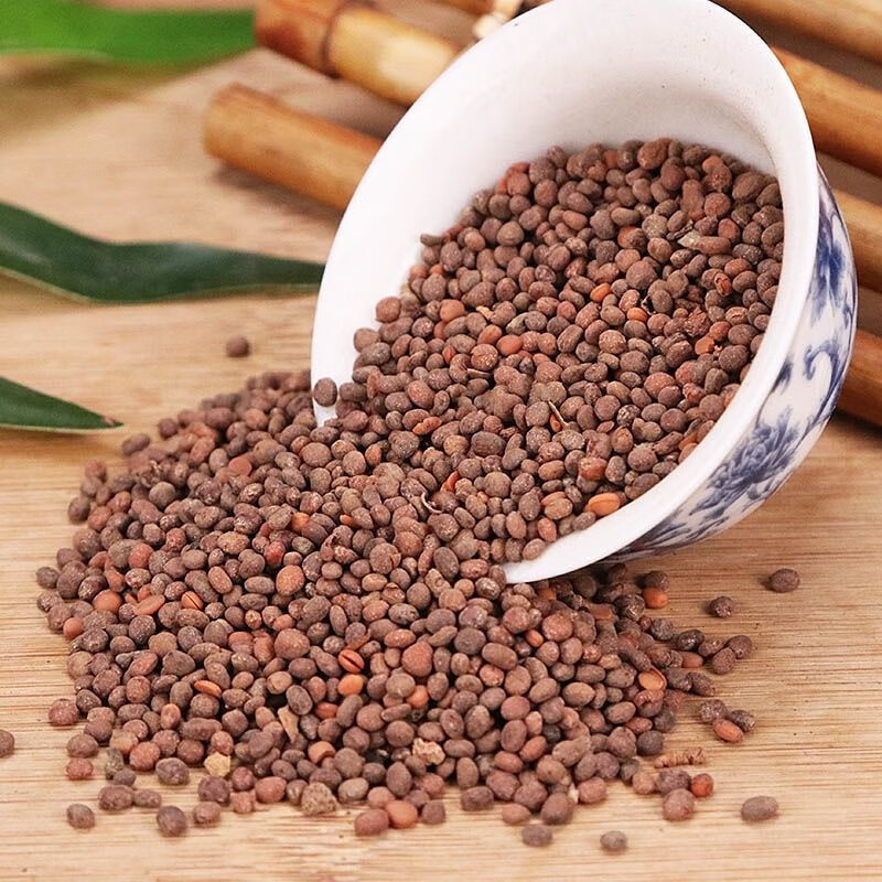 Garden Balsam Seed Ji Xing Zi 急性子 500g Dried Impatiens Balsamina Seeds Traditional Chinese Herb quality and texture