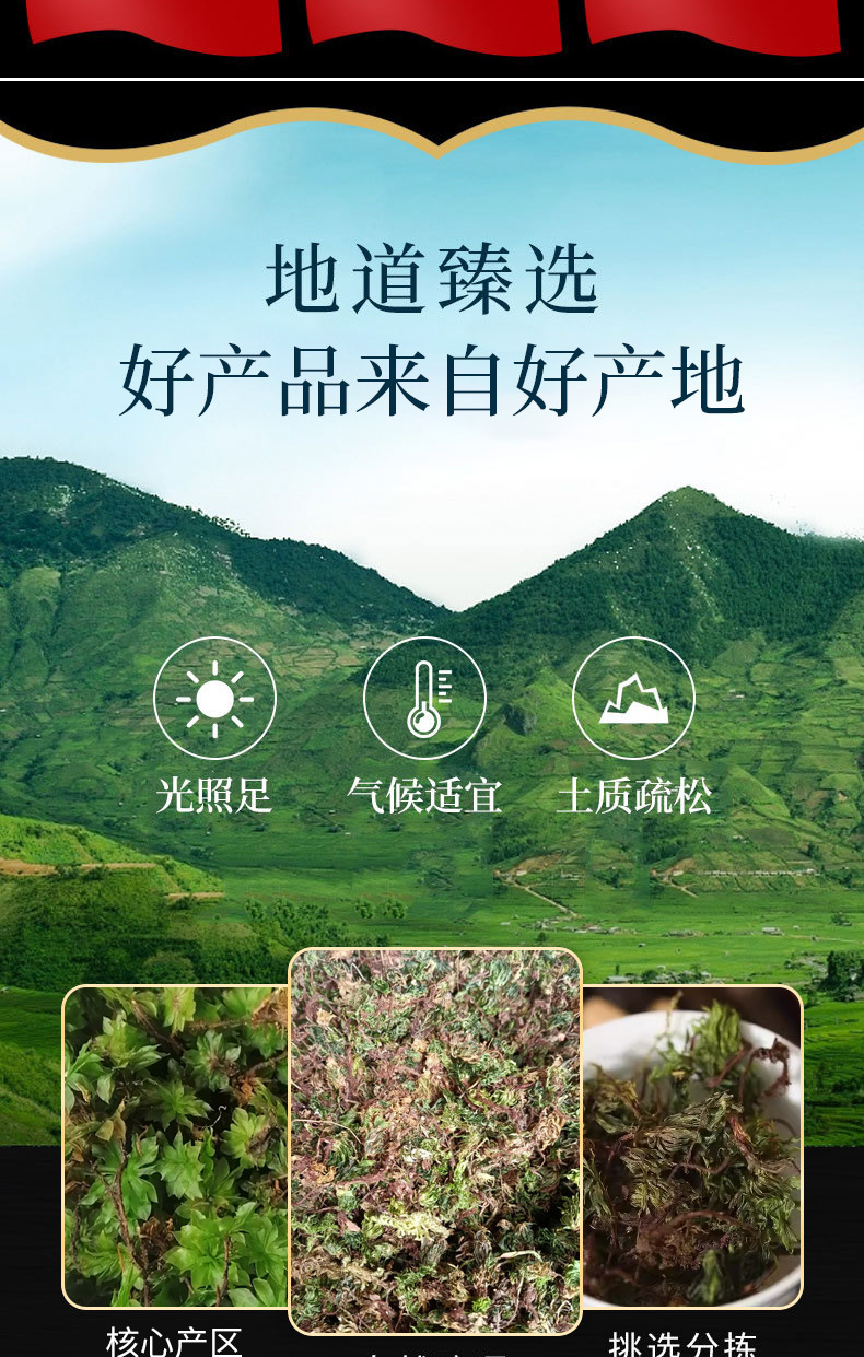 Hui Xin Cao (Rhodobryum giganteum) — Dried TCM Herb for Calming the Heart & Spirit key features