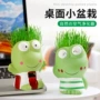 发芽儿童幼儿园桌面绿植
