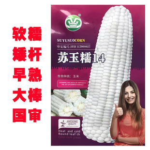 �̰�ѩ��Ŵ�N�Ӱ�Ŵ����Ƥ��79����մ���������Ŵ����