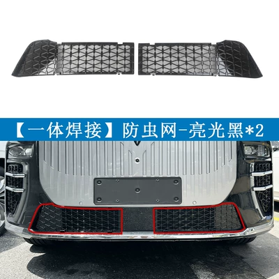 radiator protection net, special — Automobile anti-insect net - 26-units-of-taishan-x8-available-for-order-painted-black2