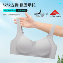 �o�Ȧ�����@С�R�����]����633�������o��ȫ�ֱ���a���ؾ۔n