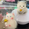 Fat kitten