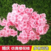 ѻcѻ辰ֹbٗlT͏d