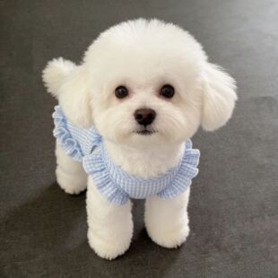 �ļ�������L��������؈��̩�ϱ��ܲ����ɐی����·������·�