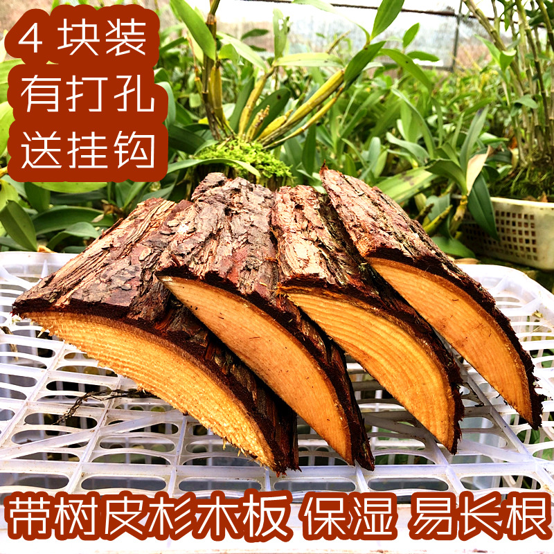 4块装 带树皮杉木板 种植石斛蝴蝶兰木板 吸水保湿很好长根快